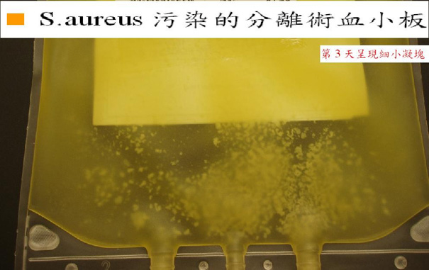 血袋陽性細菌檢測照片【S.aureus污染的分離術血小板】2